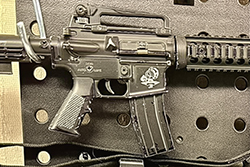 Charky inverted EGA logo