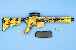 The Gadsden Flag AR-15/M4A1 Image of Freedom or Else AR-15/M4A1 Model