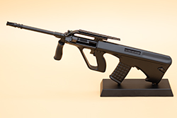 Image of AUG-A2 model Pumped