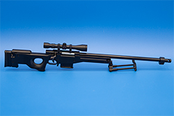 Image of the Panther AWM Model