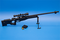 Image of the Panther AWM Model