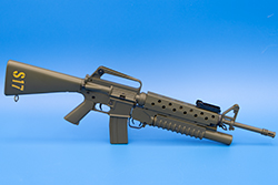 Image of M16A1 model S17