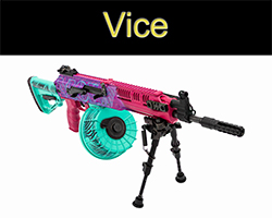 Vice