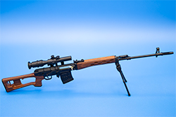 Image of the SVD Model Affirmative