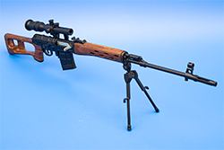 Image of the SVD Model Affirmative