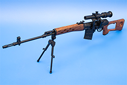 Image of the SVD Model Affirmative